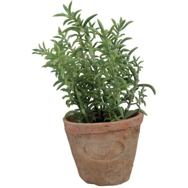 Primrue 6'' Faux Herbs Plant in Planter Wayfair